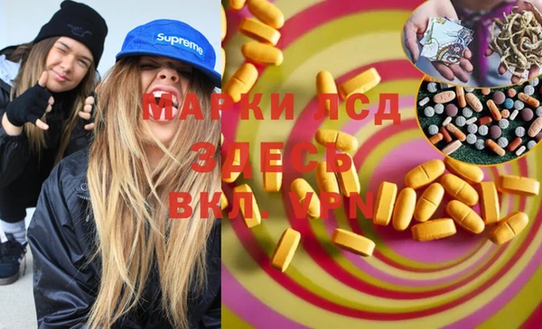 шишки Абаза