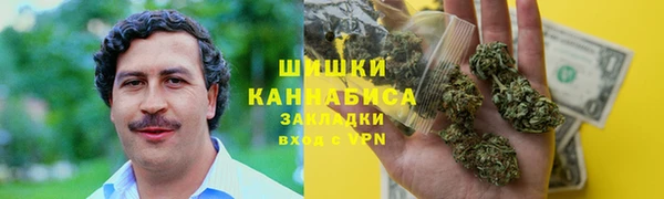 шишки Абаза