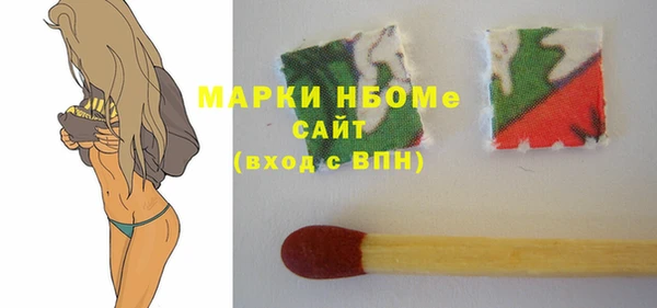 шишки Абаза
