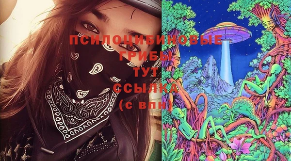 шишки Абаза