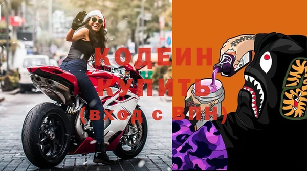шишки Абаза