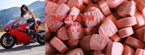 шишки Абаза
