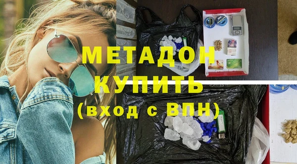 шишки Абаза