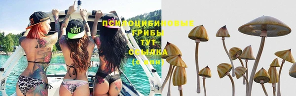 хмурый Абинск