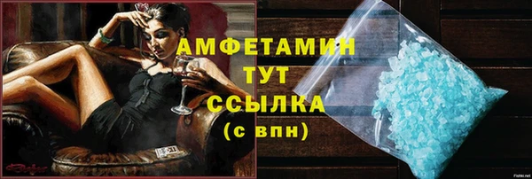 шишки Абаза