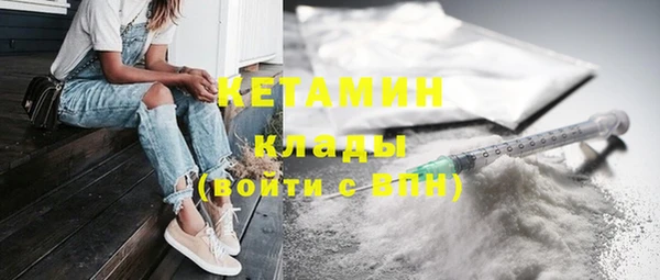 шишки Абаза