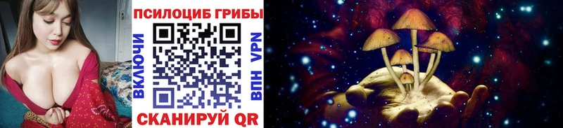 Галлюциногенные грибы Psilocybe  KRAKEN рабочий сайт  Нерехта 
